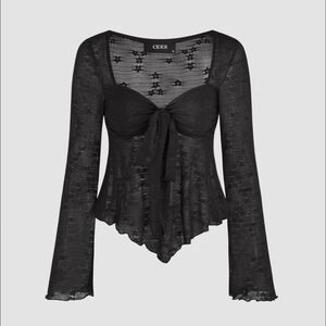 Cider Black Sheer Whismsigoth Witchy Vamp Top Fairy Grunge 90s Top